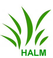Halm (tillfälligt slut) 